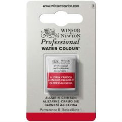 Aquarelle demi-godet Winsor et Newton